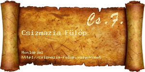Csizmazia Fülöp névjegykártya